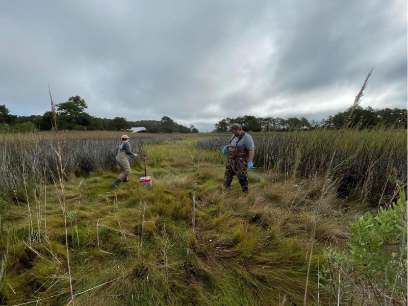 Researchers sample wetland soils outside