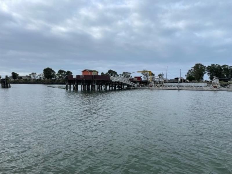 view of the oyster farm on the shore and pier from the water
