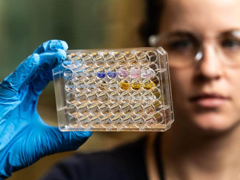 A researcher wearing safety gloves and glasses holding up a multi-slotted container. Some containers in it are filled with liquids of varying colors.