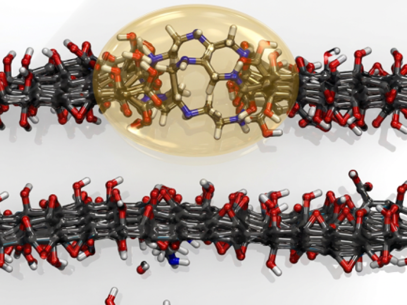 Simulated image of amine-functionalized membrane