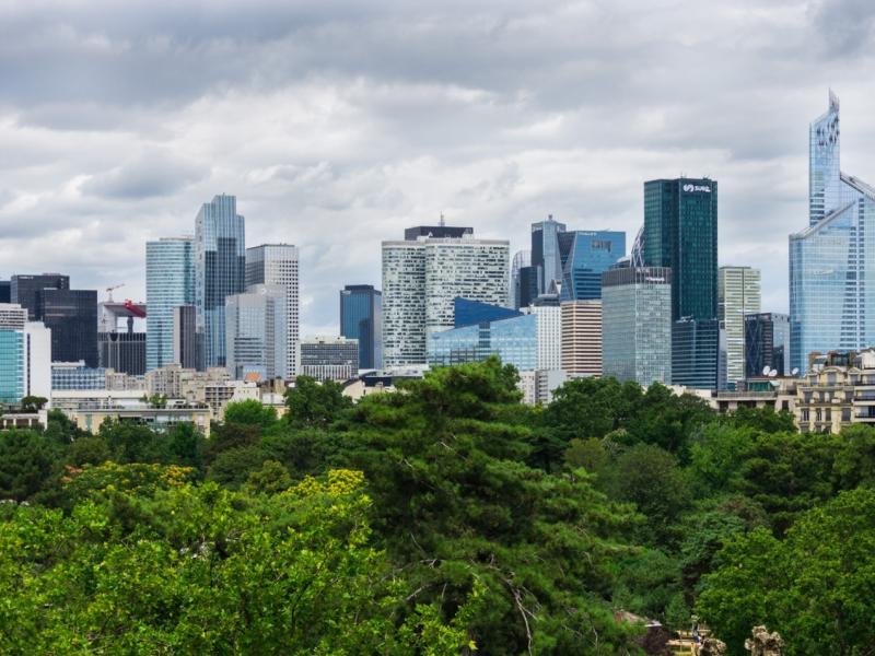 Photograph of a city skyline above trees