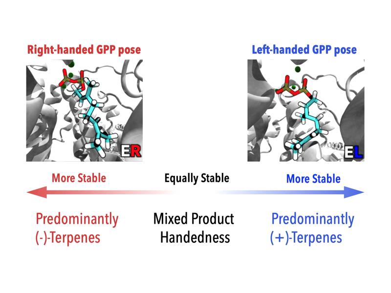 image of different molecular simulation results
