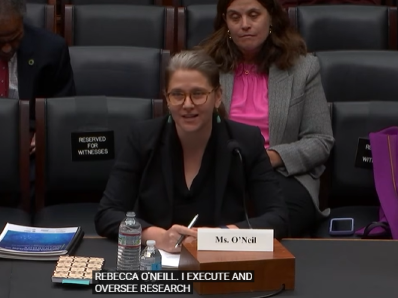 Rebecca O'Neil testifying before the House Committee