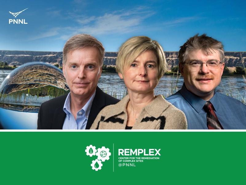 RemPlex leaders effective March 2026 are David Peeler, Carolyn Pearce, and Christian D. Johnson