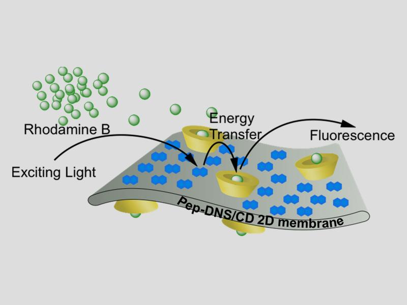 POSS-peptoid nanocrystals form a highly efficient light-harvesting system 