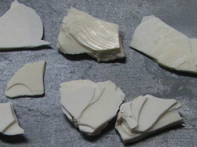 Seashells get their strength