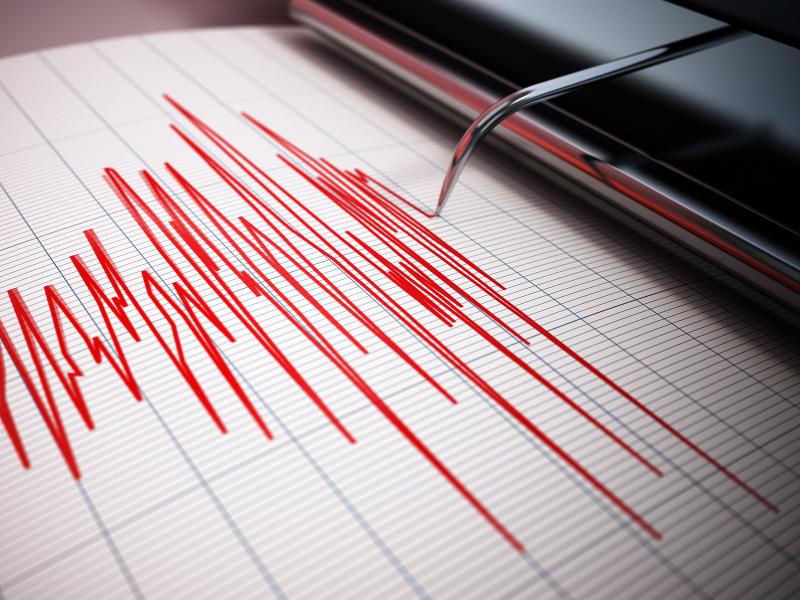 The photo shows a red line made by a seismograph, squiggling up and down from left to right.