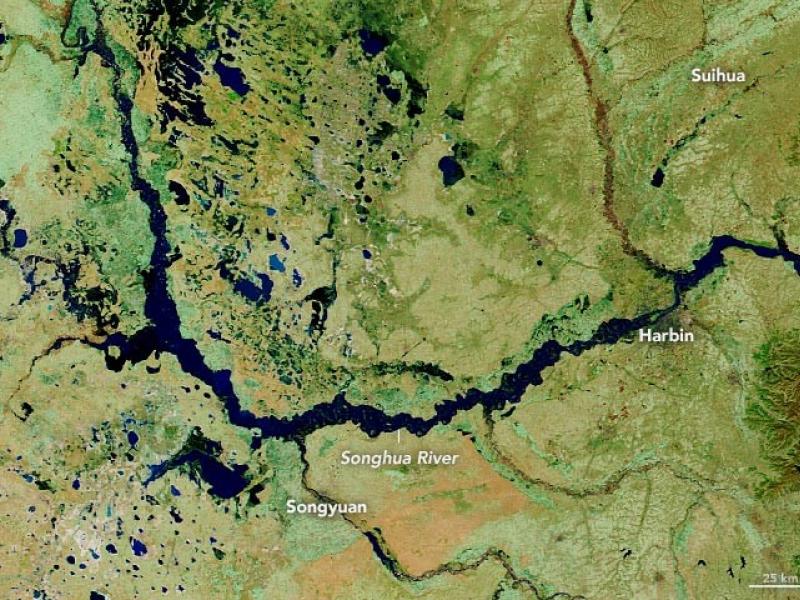 Satellite image of river and green land