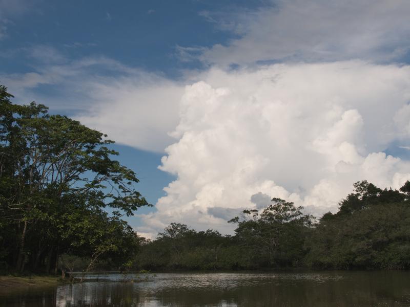 Photograph of a cloud above the Amazon rainforest