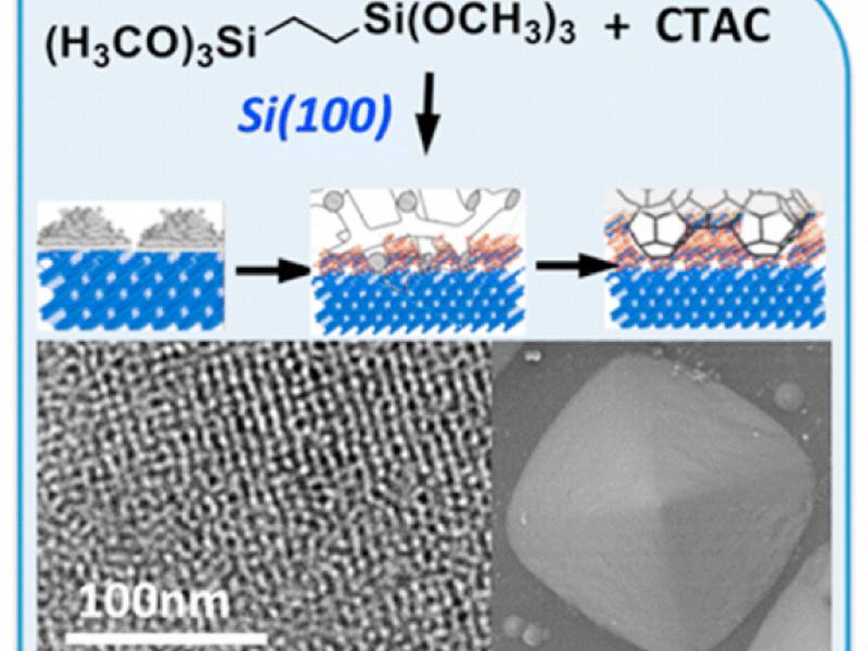 Shusko_Catalysts