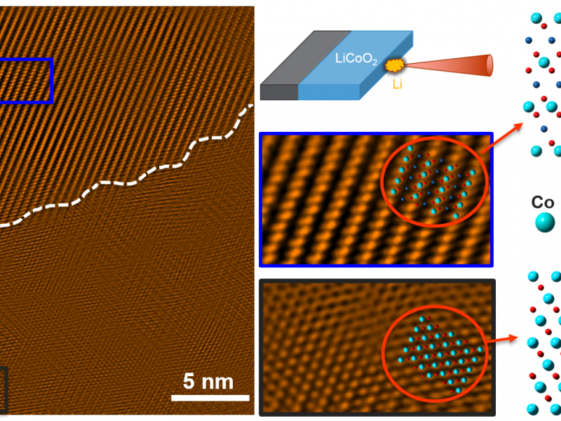 Graphic from Yingge Du's paper in "Small"