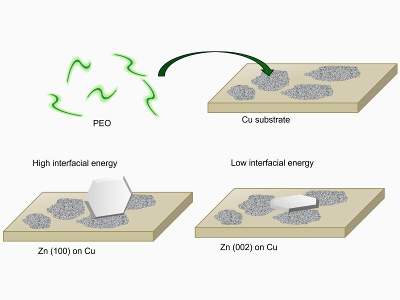 Illustration showing polymer and substrate binding