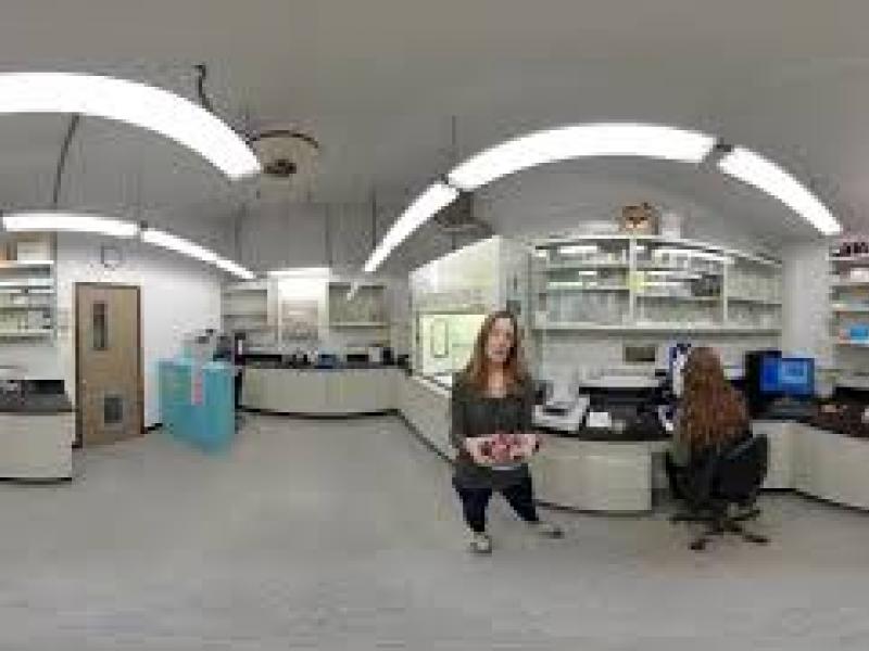 The Bug Laboratory