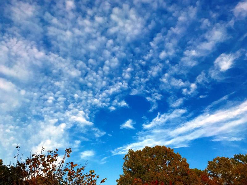 Photograph of a bright blue sky with wispy clouds