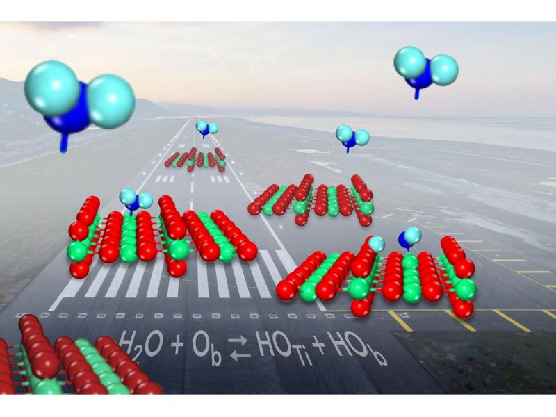 Water-Landing-on-Catalyst