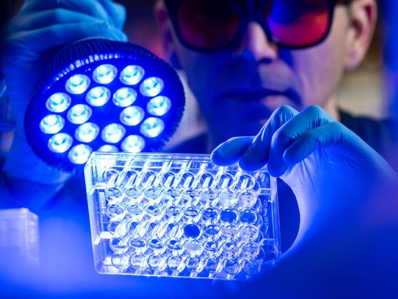 Josh Elmore conducts research for the Predictive Phenomics Initiative