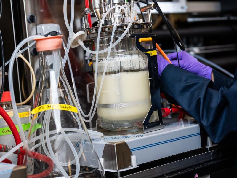 A researcher takes a sample from a bioreactor.