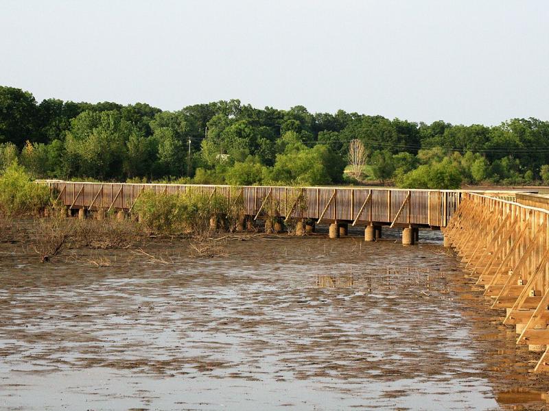 an image of a wetland in texas with a boardwalk