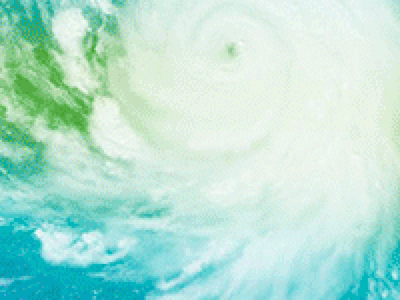 animated-Haiyan-2014-200x250