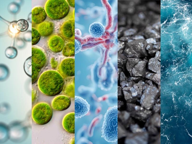 Composite graphic featuring side-by-side images of microbes, algae, proteins, minerals, and water.
