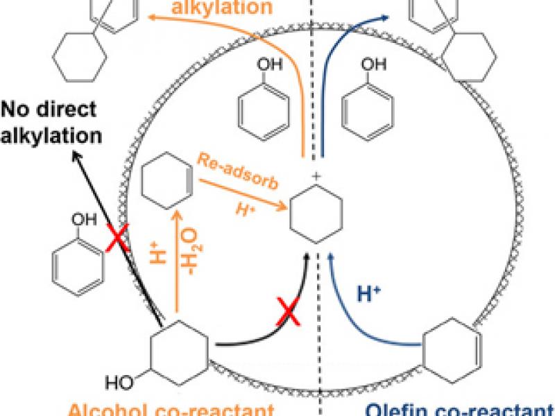 cyclohexanol_alkylation_lercher