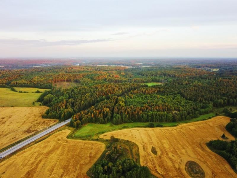 aerial view of a forest and crop land nearby 