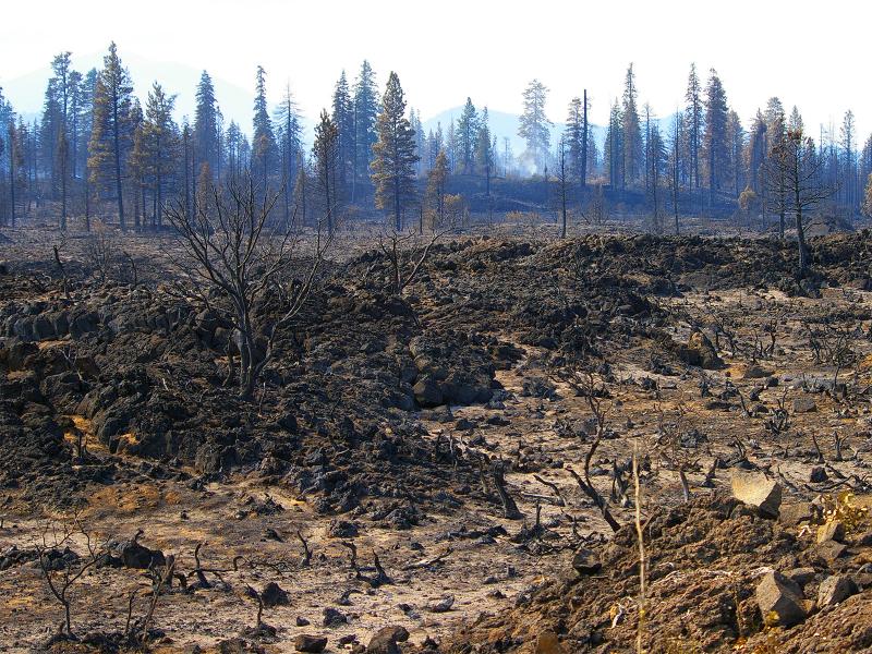 A scorched Northern California landscape remains after wildfire passed through the area, leaving charred vegetation. Increased risk of wildfire is one potential effect of drier winters, which PNNL scientists project for California after probing the double-ITCZ bias. (Photo by © Michael Neil Thomas | Shutterstock.com)