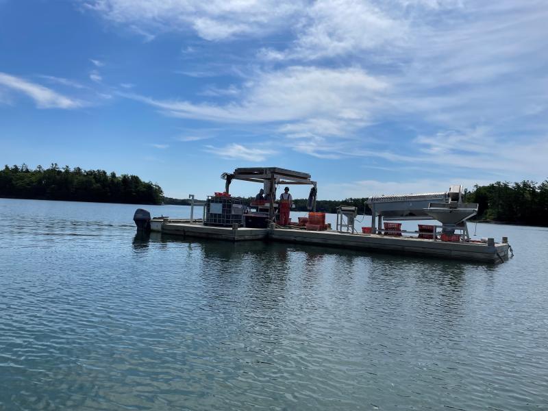 a solar powered dock floating on the river at Ferda Farms for their oyster farm