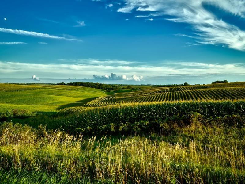 Farmland with blue sky