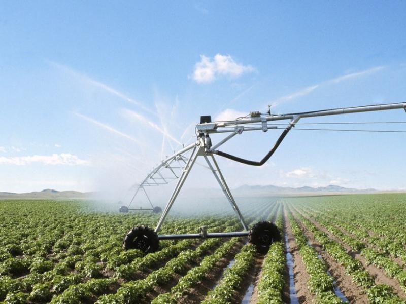 Researchers projected increased crop usage of precipitation and irrigation water by the end of this century