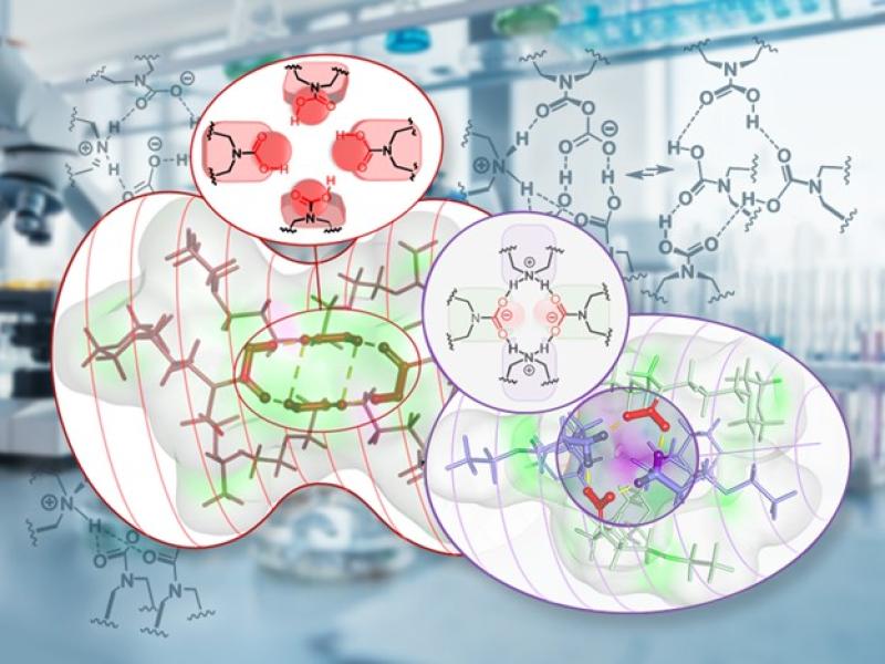 Graphic illustration of molecules on an interior science laboratory backdrop