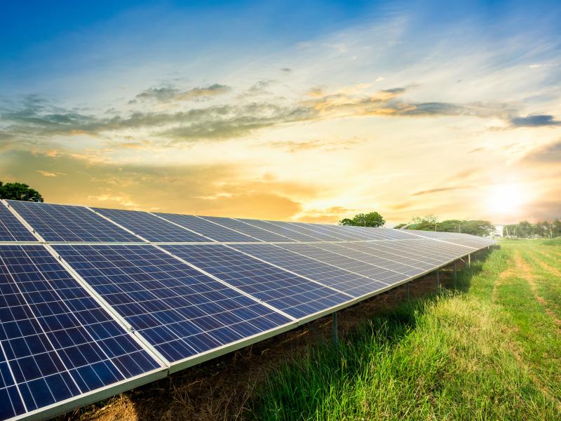 solar panels in field