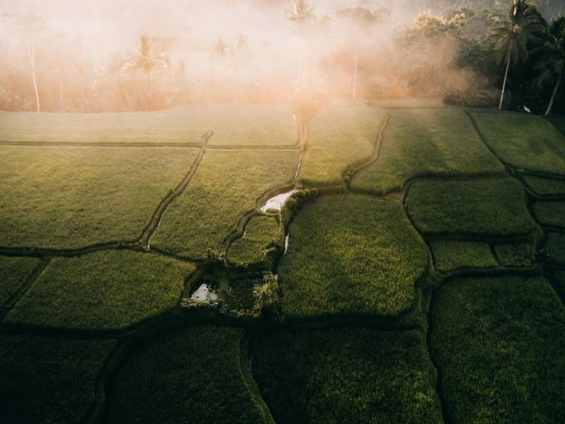 an aerial view of green fields with sun, clouds and palm trees in the background