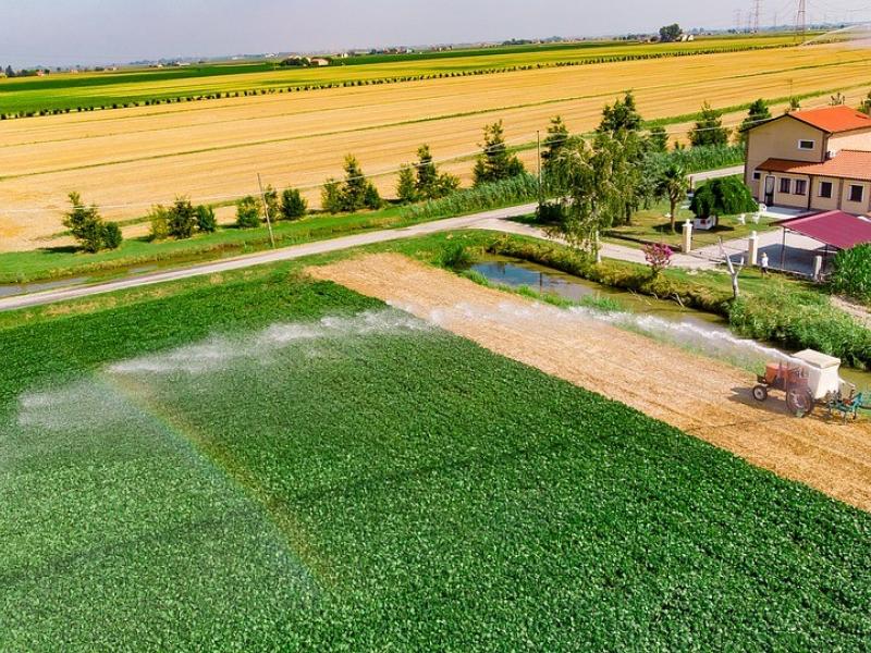 Large agricultural area being watered