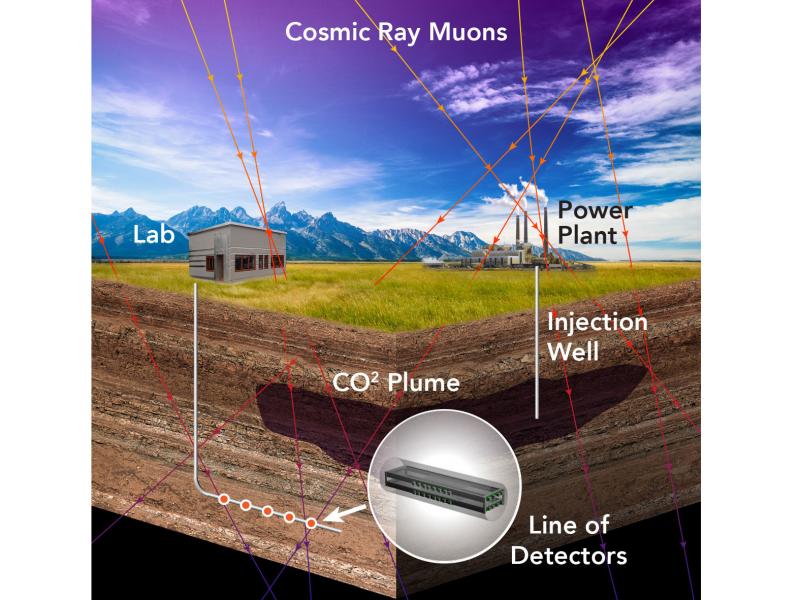 many-muons