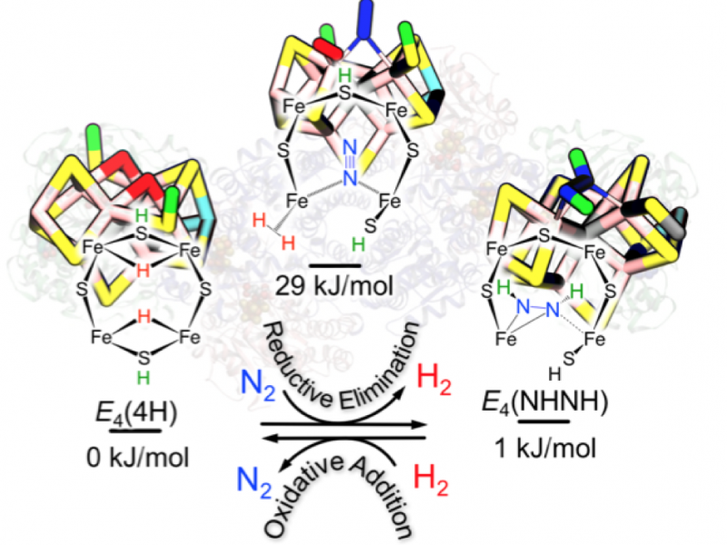 Technical illustration from journal article