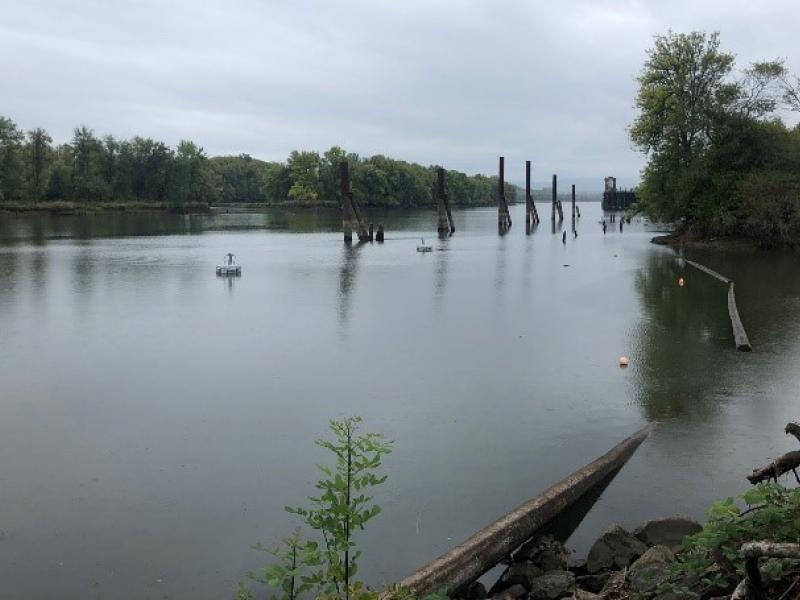 harbor with trees lining waterway