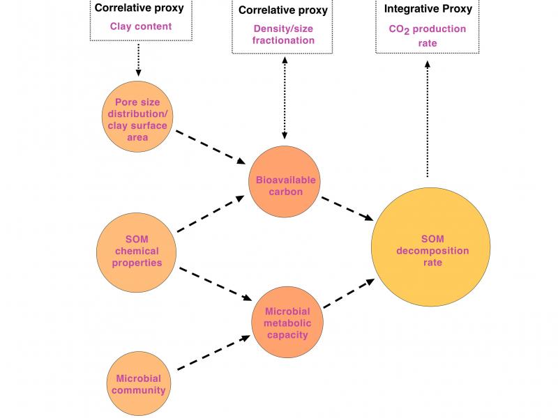 proxies