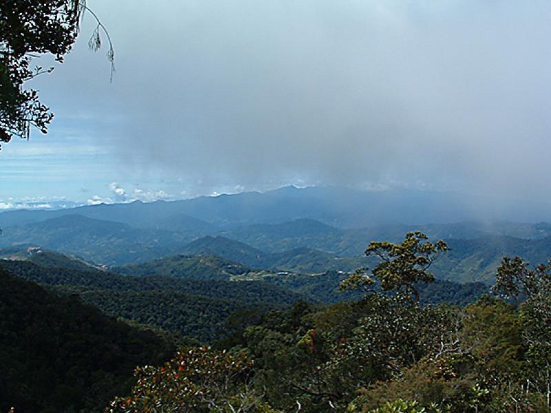 rain-borneo-550-hagos