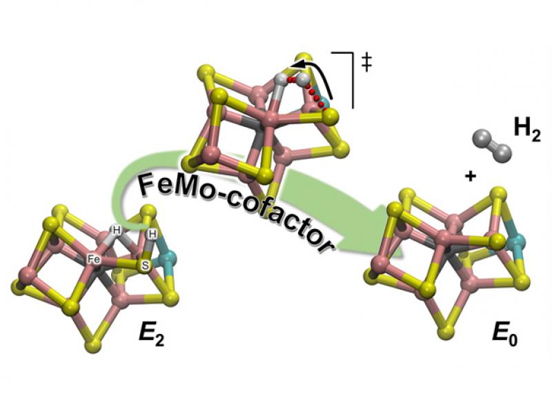 raugei_hydrogen