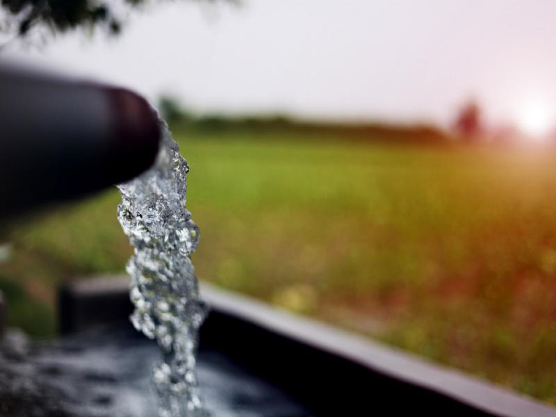 Water flows from an irrigation pipe