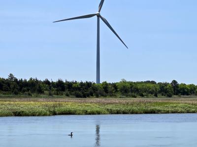 distributed-wind-gallery-photo-2025-01