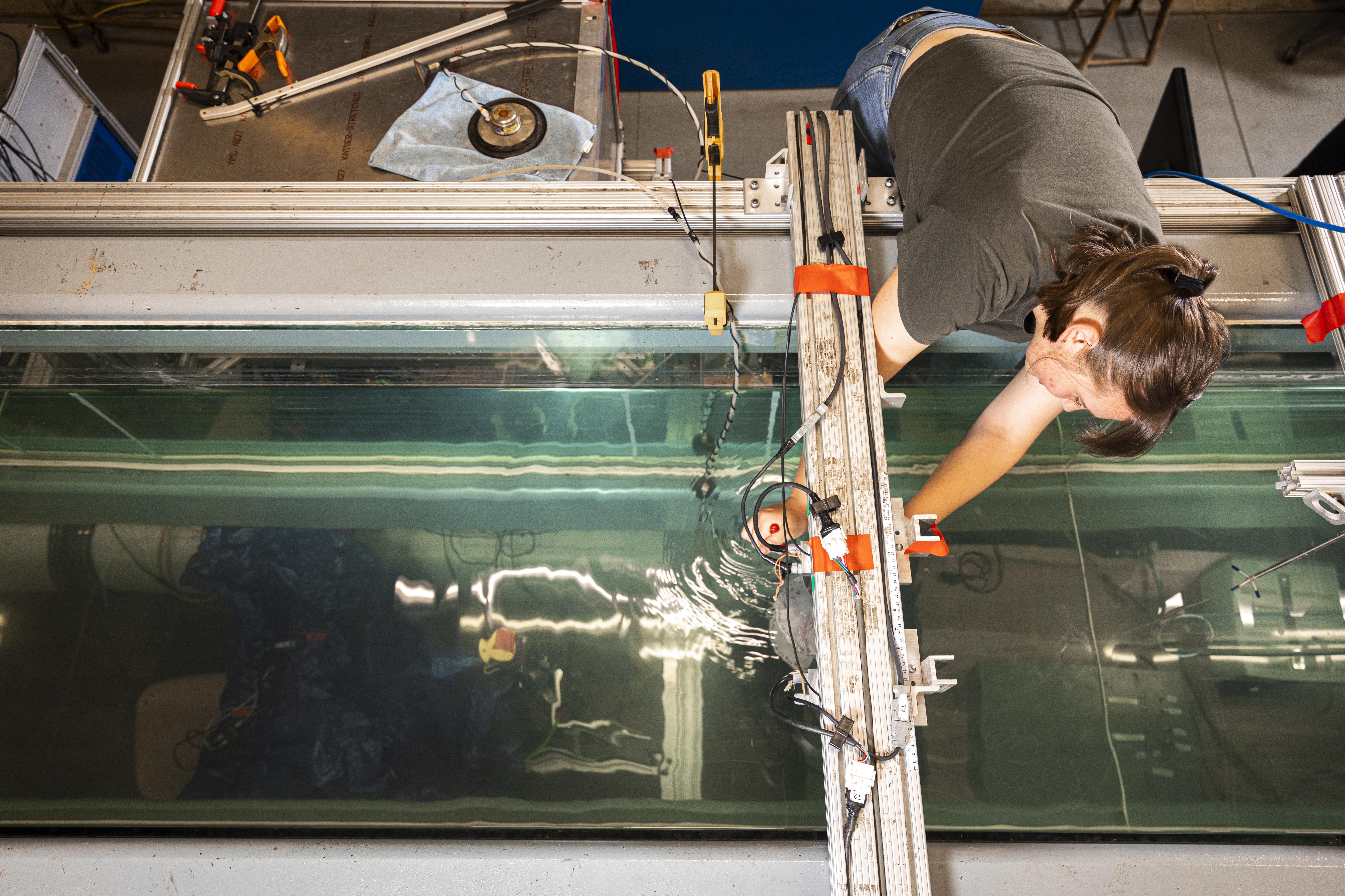 University of Washington master’s student Isabella Pestovski places a marine mammal surrogate into the flume to see how the surrogate behaves in the simulated current. (Photo by University of Washington)