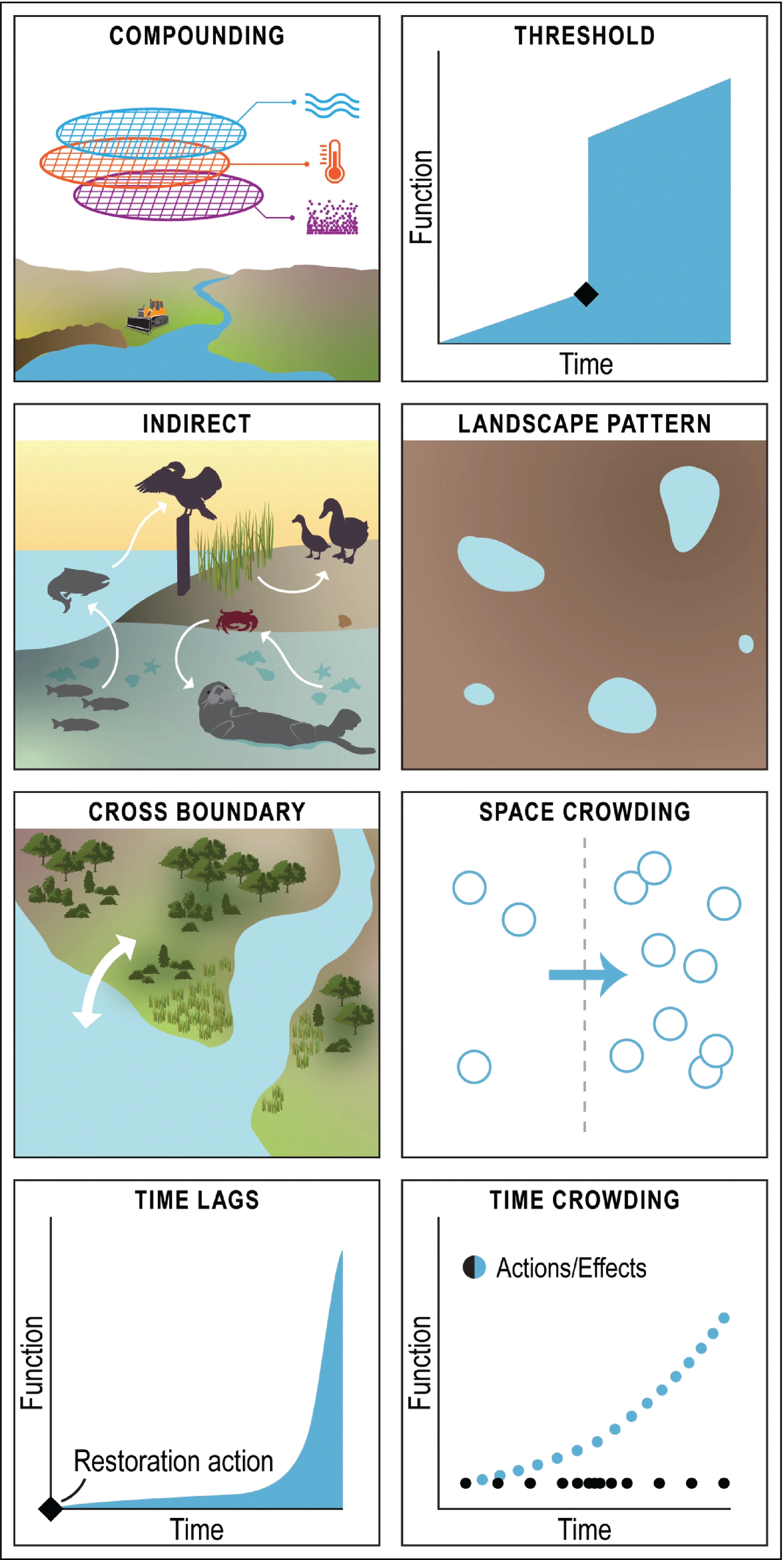 Cumulative Effects