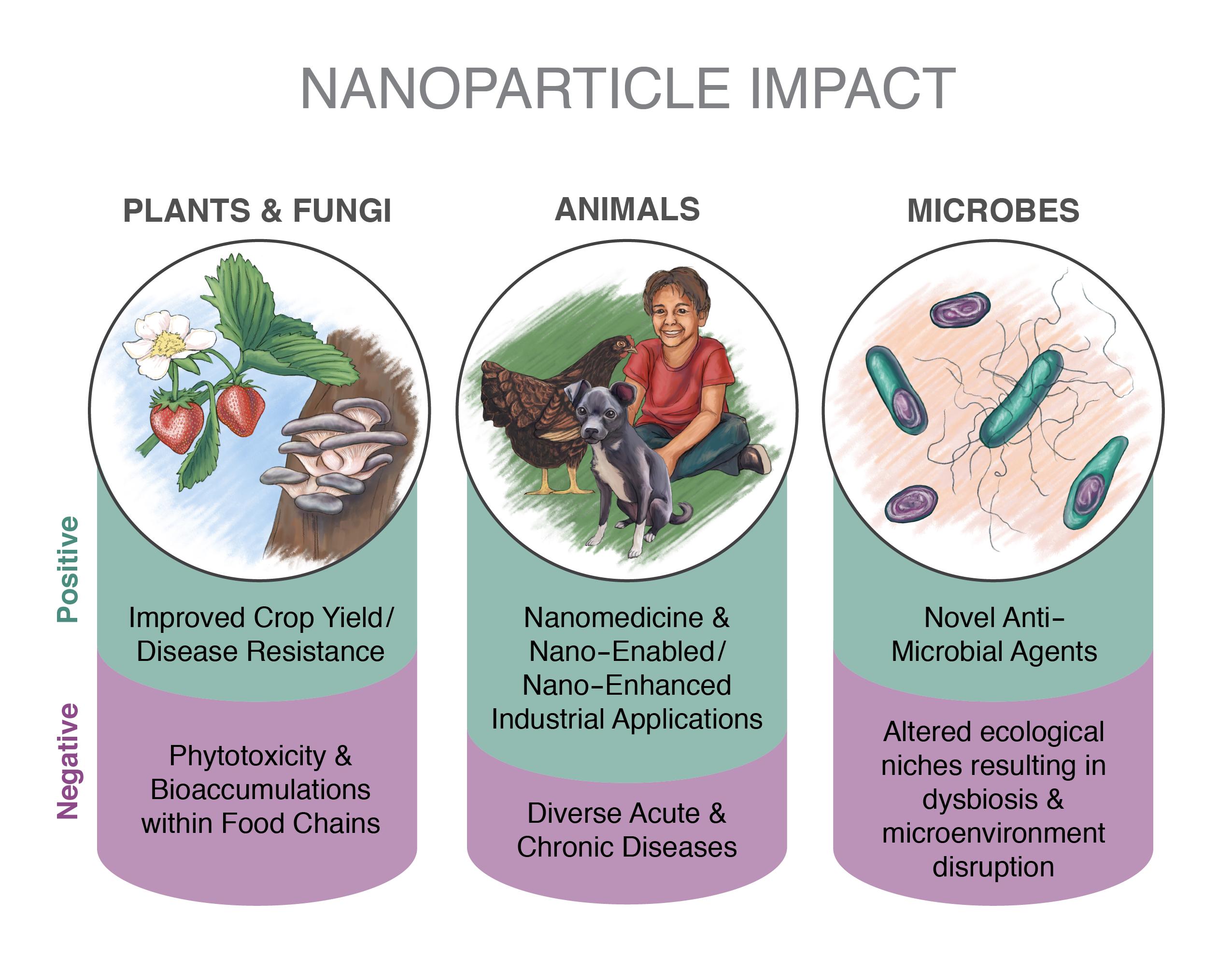 Illustration of three types of nanoparticles