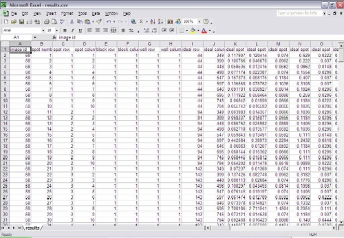 Data Image