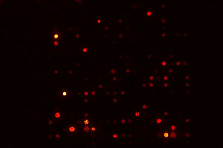 Microarray image