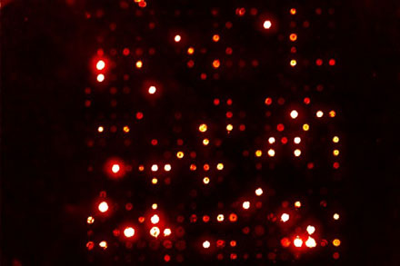 Contrast-enhanced microarray image