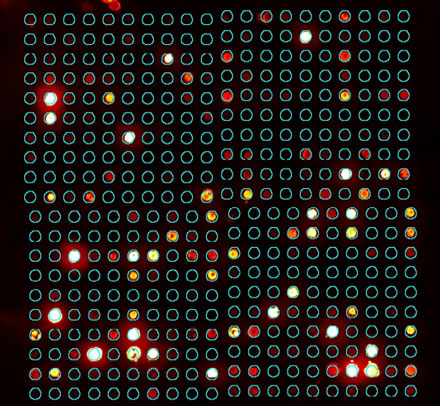 Ideal spot map