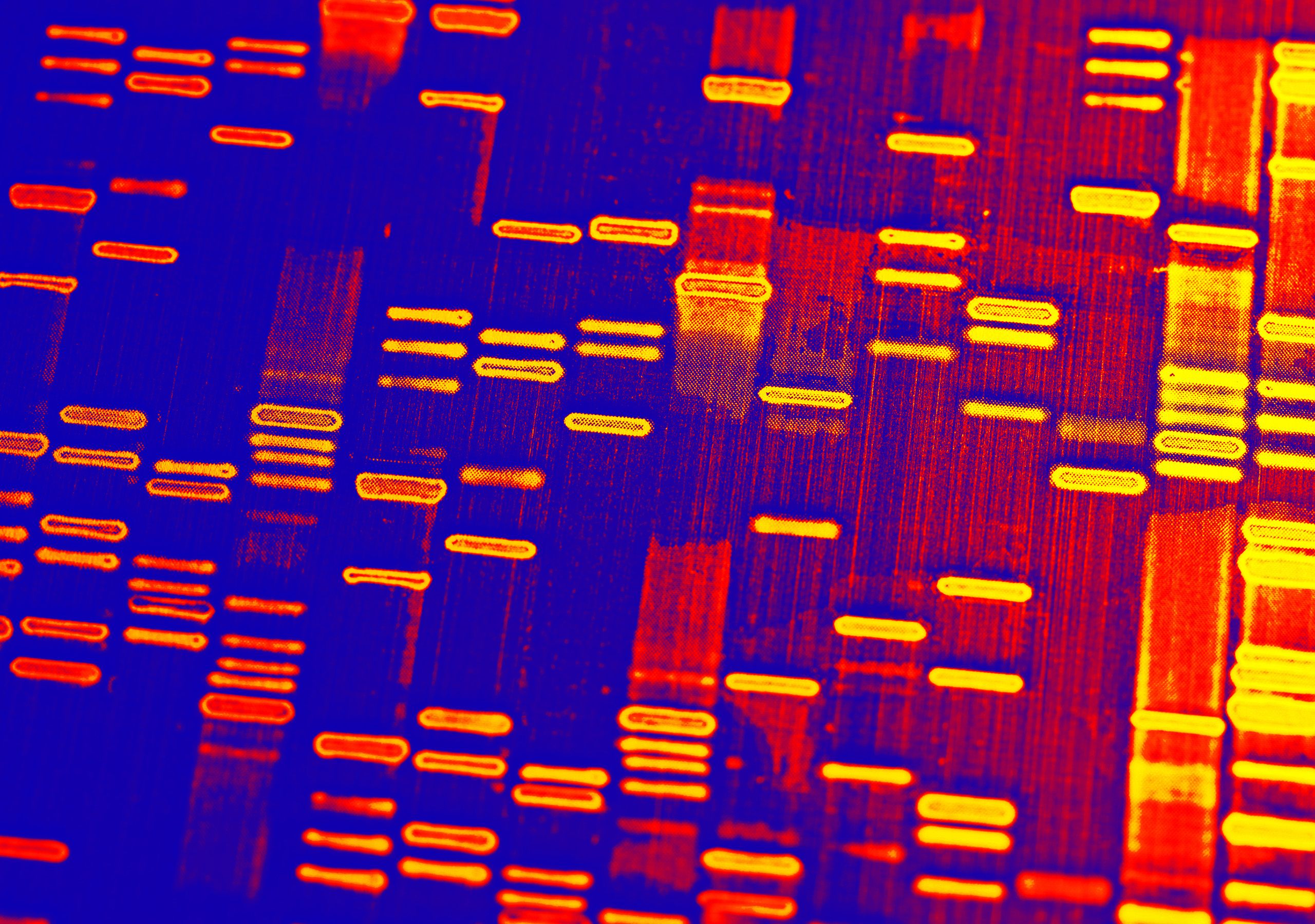 an example of a digital rendering of software code in the style of DNA in purple, red and yellow